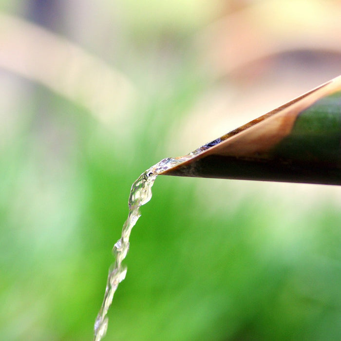 Is Bamboo Sustainable? - Uncovering the Eco-Friendly Truth
