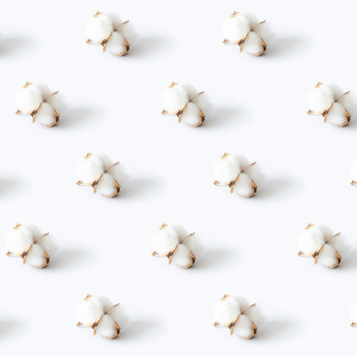 The Green Fabric Showdown: Organic Cotton vs. Bamboo