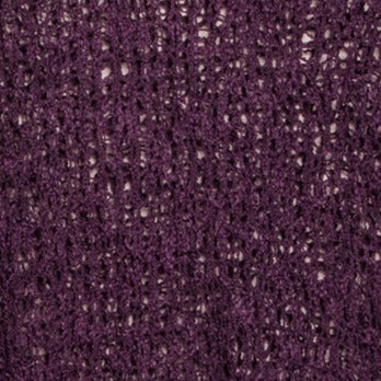 Swatch Boysenberry