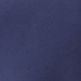 Swatch Navy