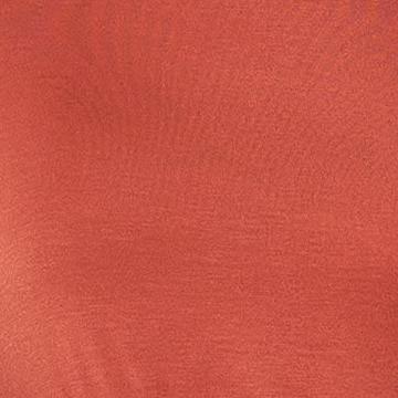 Swatch Rust