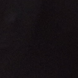 Swatch_Black
