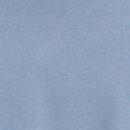 Swatch Dusty Blue