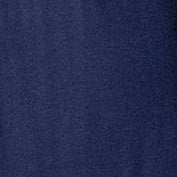 Swatch Navy
