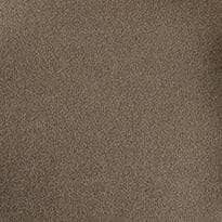 Swatch Olive