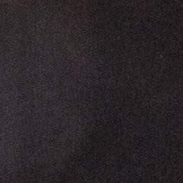 Swatch Black