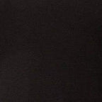 Swatch Black