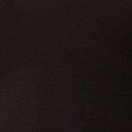 Swatch Black