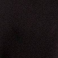 Swatch Black
