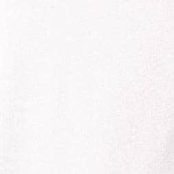 Swatch Ivory