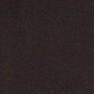 Swatch Black
