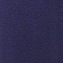 Swatch Navy