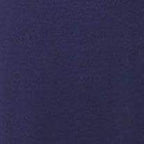 Swatch Navy