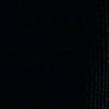 Swatch Black