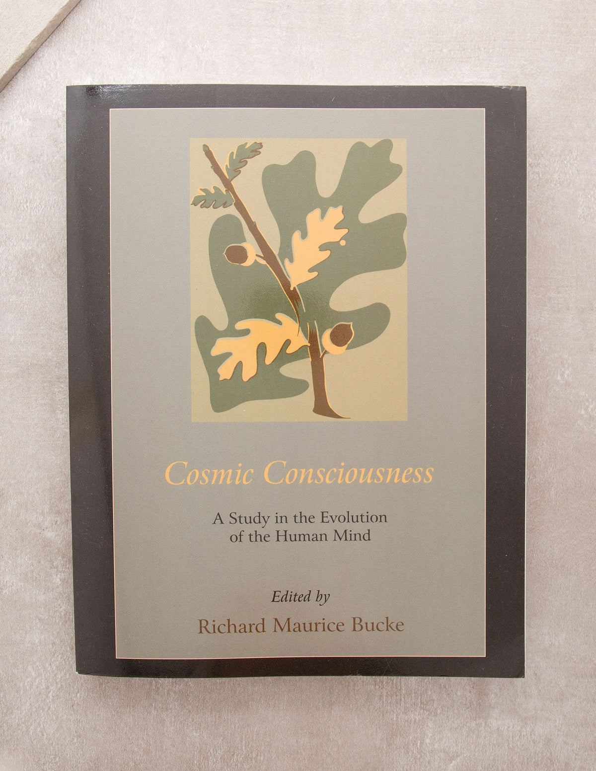 Human Consciousness Evolution