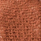 Swatch Cinnamon